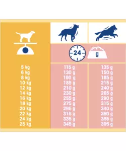 Crocchette per cani purina "dog chow classic" adulto di tutte le taglie con salmone 10 kg