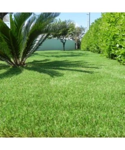 Prato sintetico verde "superior" 30 mm 2x5 m