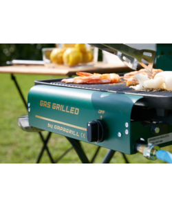 BARBECUE A GAS "GAS GRILLED" CON PIASTRA DI COTTURA IN GHISA - OMPAGRILL