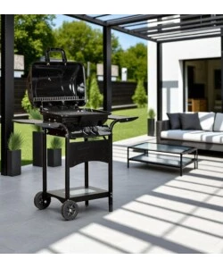 BARBECUE A GAS ARNOLD "ARIZONA" 2 BRUCIATORI 115X55X102 CM
