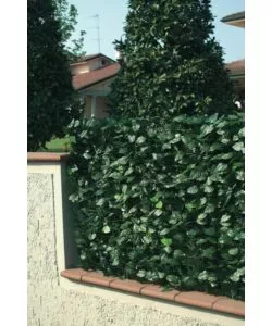 Siepe artificiale essenza in pvc con foglie lauro 300x100 cm