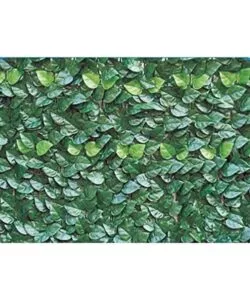 Siepe artificiale essenza in pvc con foglie lauro 300x100 cm