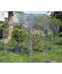 Telo di ricambio verdemax per serra narciso in plastica trasparente 185x240x205 cm