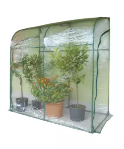 Telo di ricambio verdemax per serra anemone in pe rinforzato verde 140x140x195 cm
