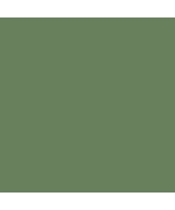 PITTURA GUAINA ANTIALGA PLUS MAX MEYER VERDE 4 LT