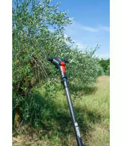ABBACCHIATORE OLIVE BLUE BIRD "EGEO 23-50 ASTA FIX" CON KIT BATTERIA E CARICABATTERIA 12V
