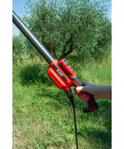 ABBACCHIATORE OLIVE BLUE BIRD "EGEO 23-50 ASTA FIX" CON KIT BATTERIA E CARICABATTERIA 12V