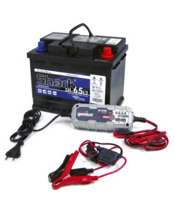 Abbacchiatore olive blue bird "egeo 23-50 asta fix" con kit batteria e caricabatteria 12v