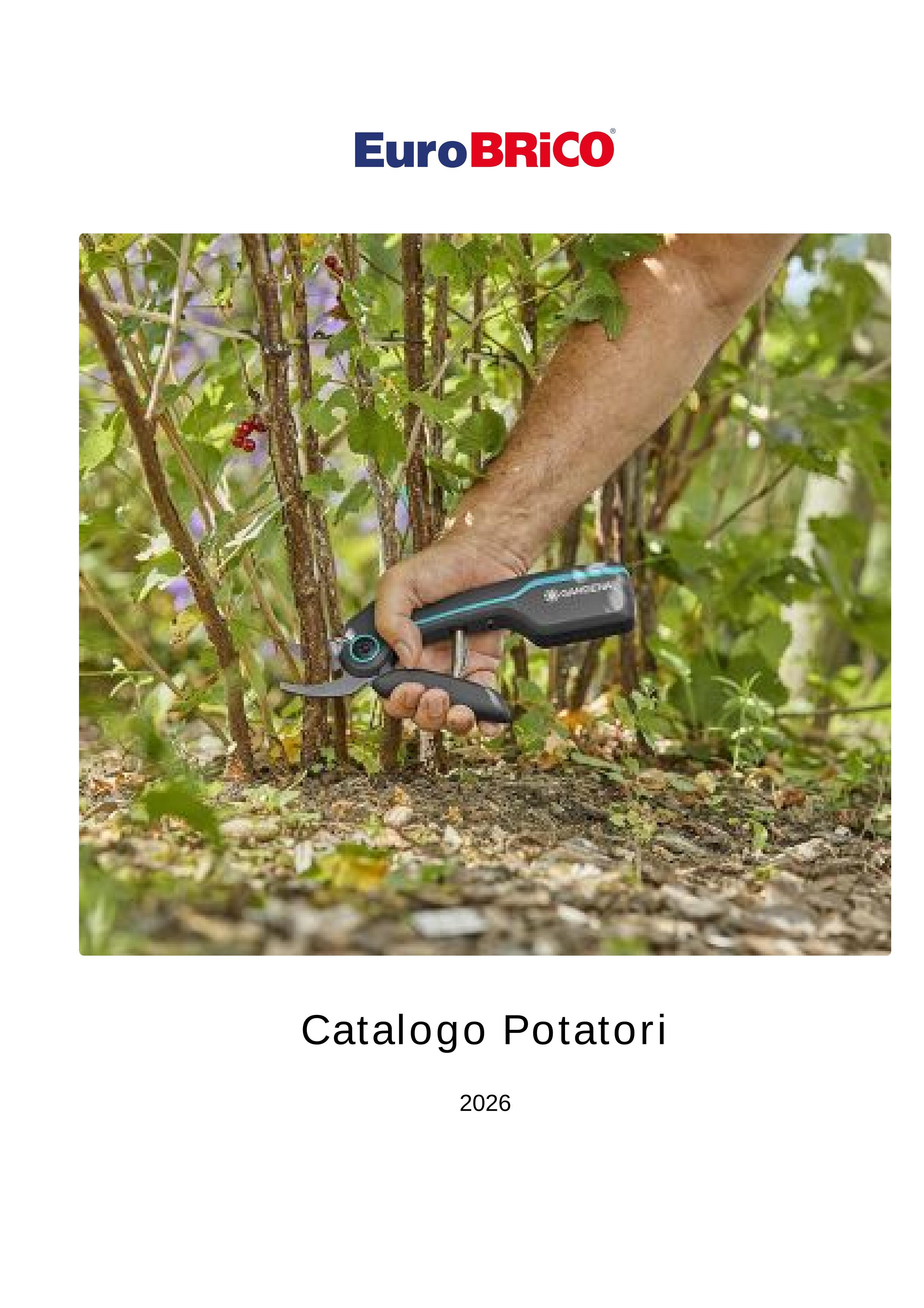 Catalogo Potatori