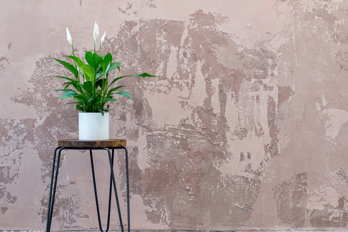 Abbinare Colori Casa 4