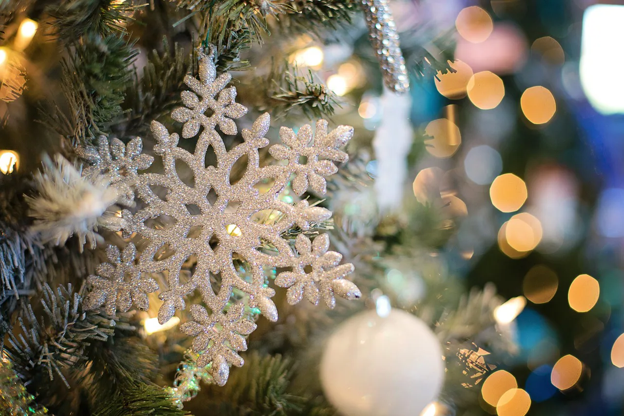 Natale In Famiglia Snowflake 1823942 1280 13503 1