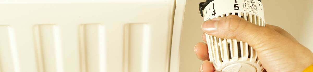 Valvola Termostatica 7