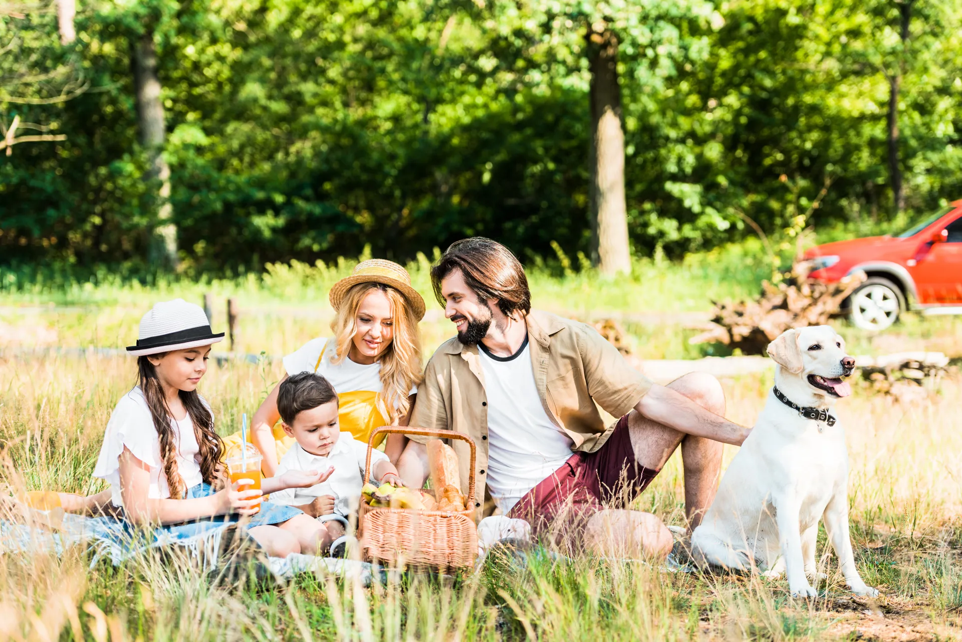 Eurobrico Blog Picnic Coperta 10323 1