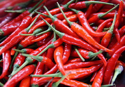 Eliminare Le Formiche 8