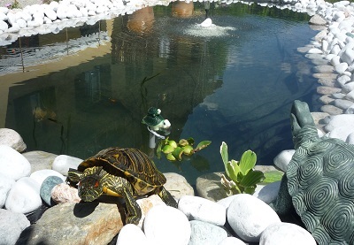 Manutenzione Laghetto Artificiale 4