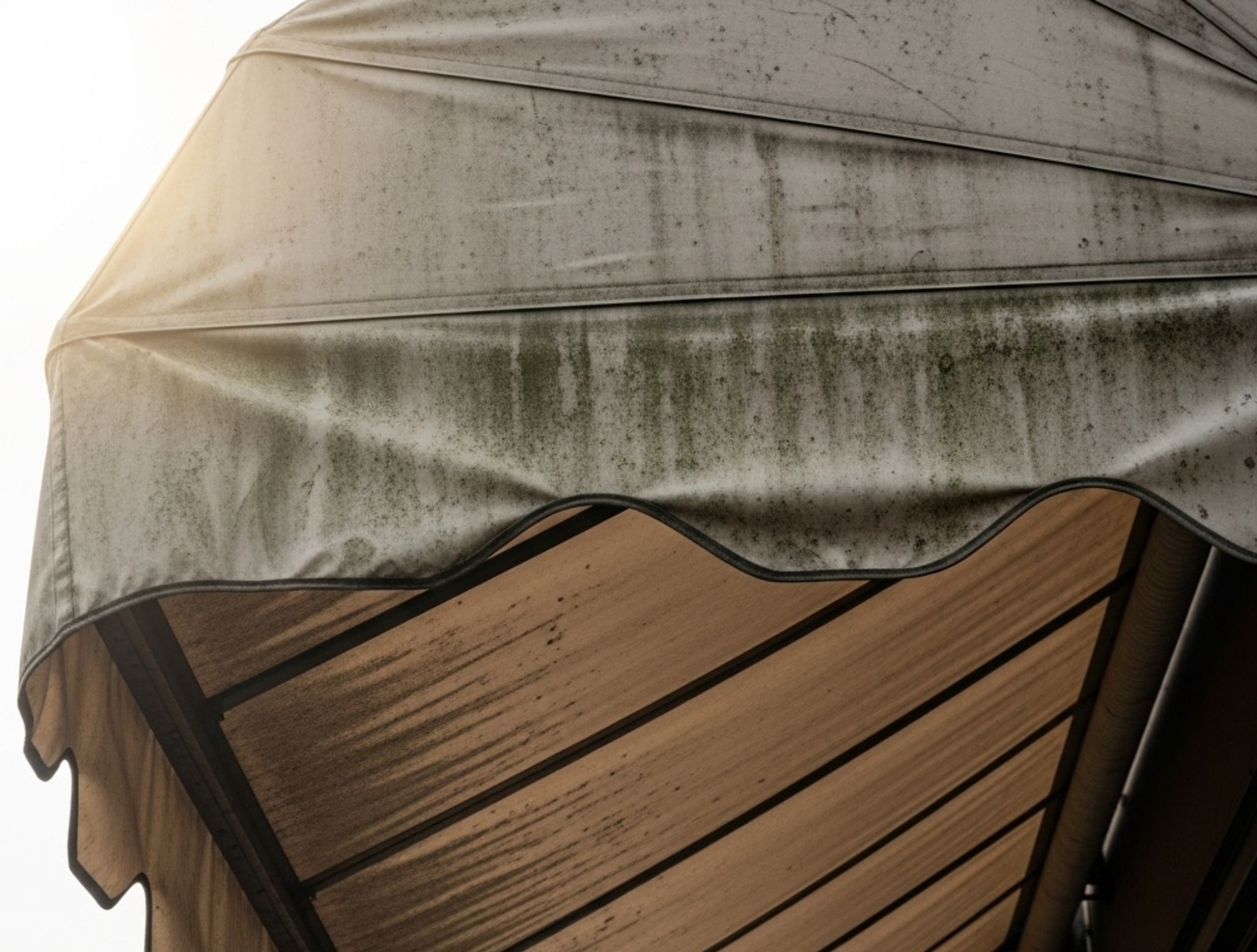 Sezione 5 Blog 13852 1