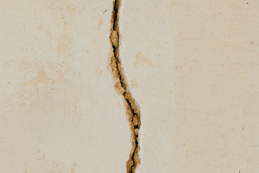 Eliminare Le Formiche 16