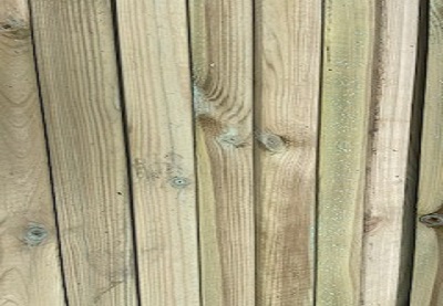 Legno Autoclave 2 12209 1