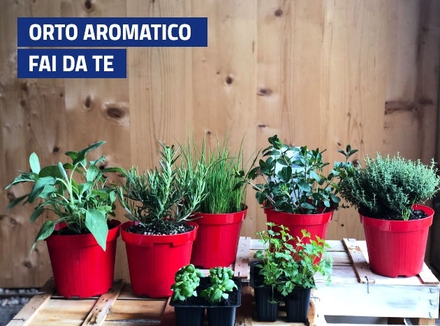 Orto Aromatico Banner