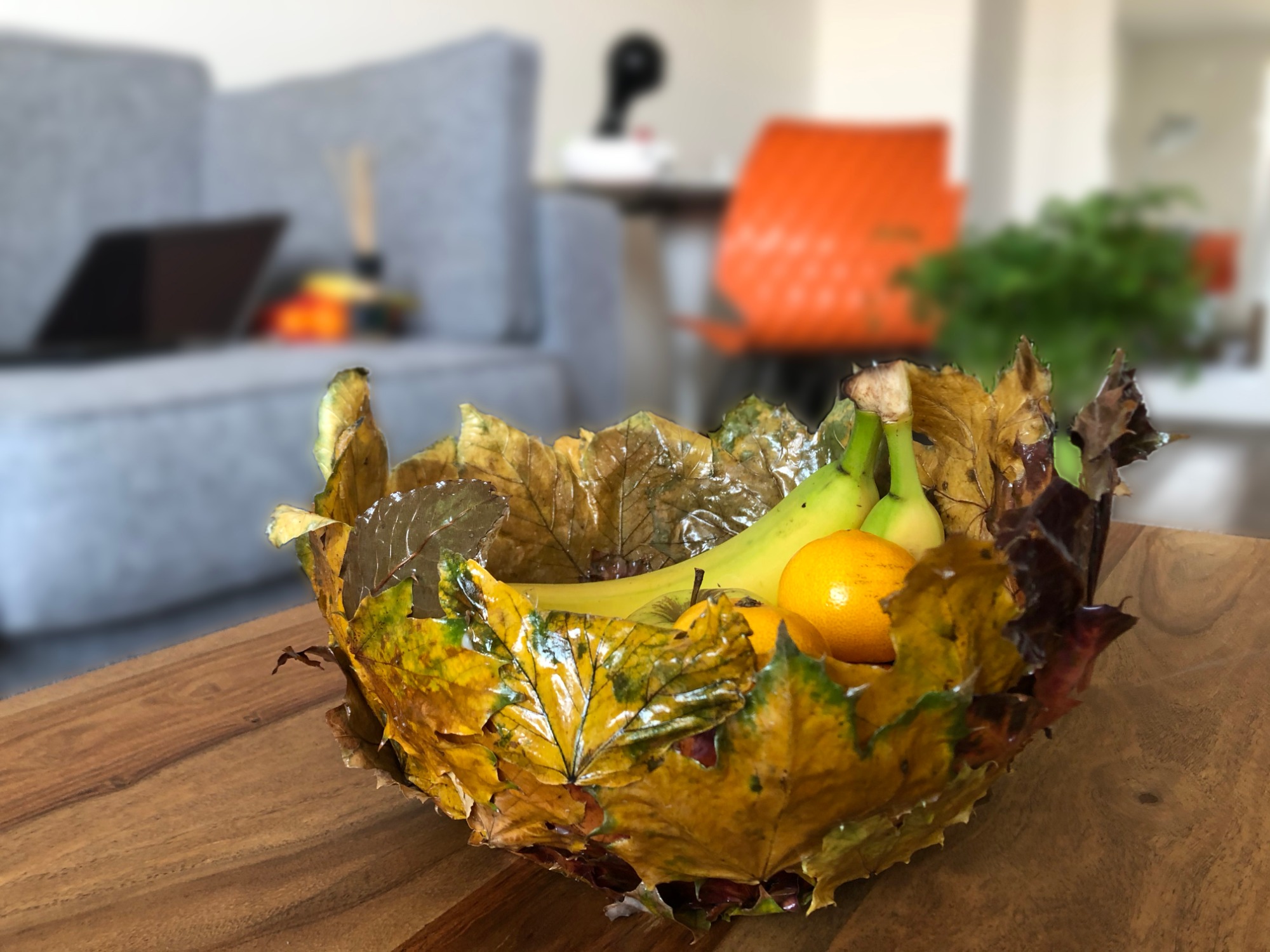 Eurobrico Blog Cesto Autunno Fog