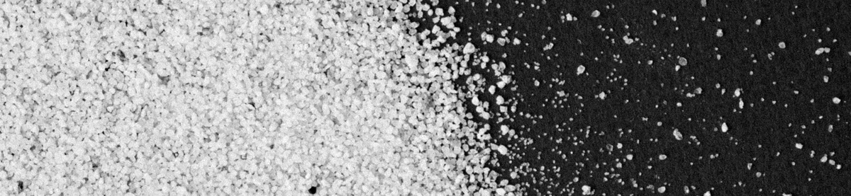 Eliminare Le Formiche 12