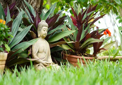 Giardino Zen 05