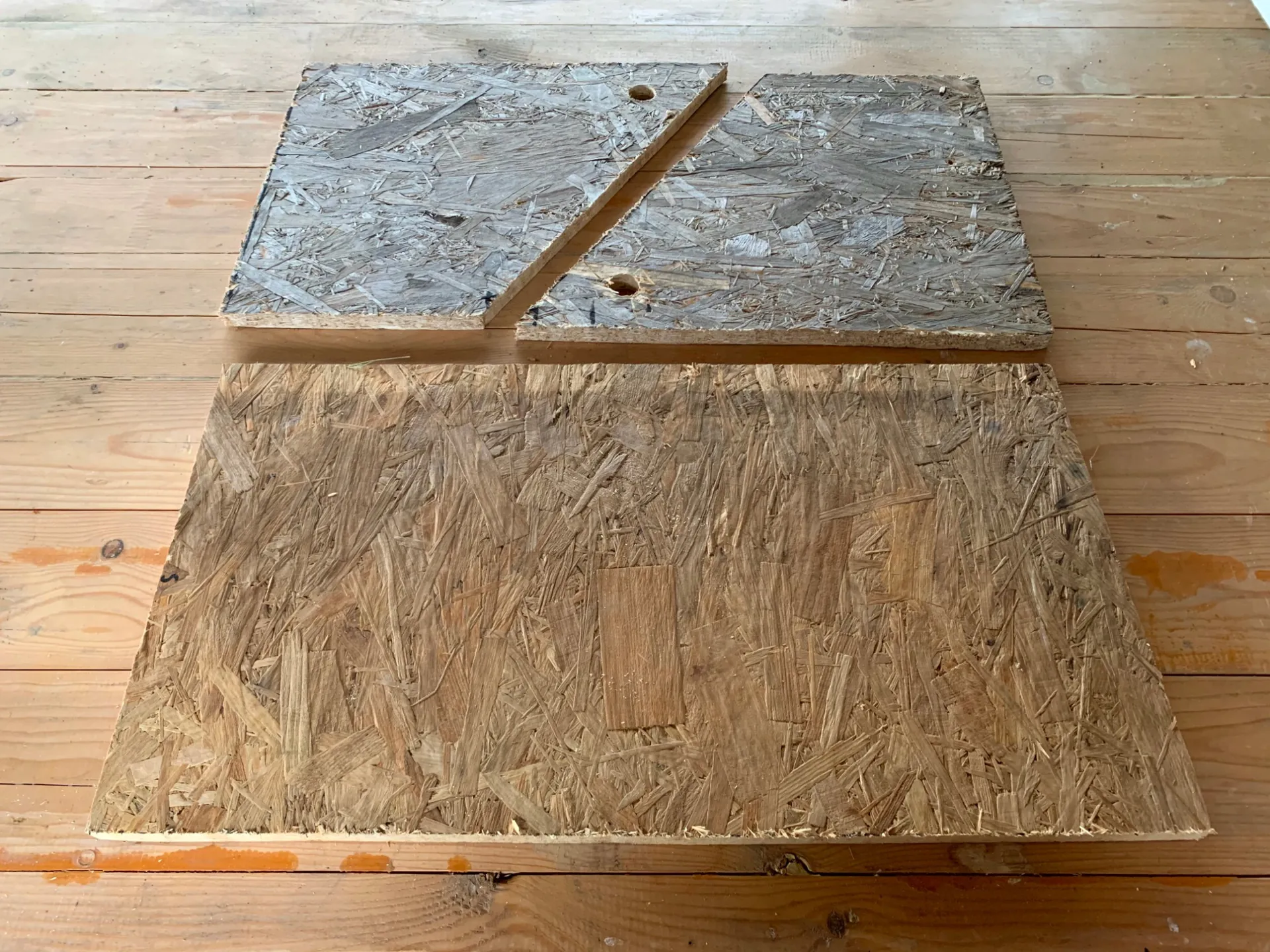 Gioco Per Cani 1
