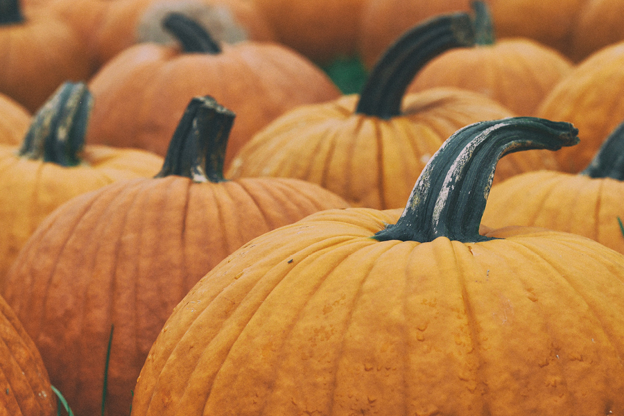 900X600agosto3 10066 1