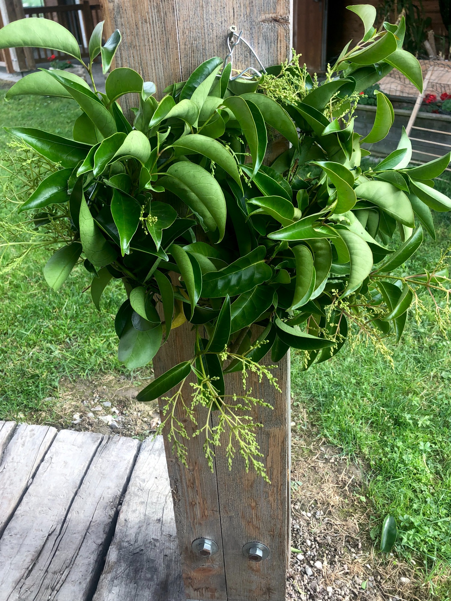 Componi La Tua Ghirlanda 8