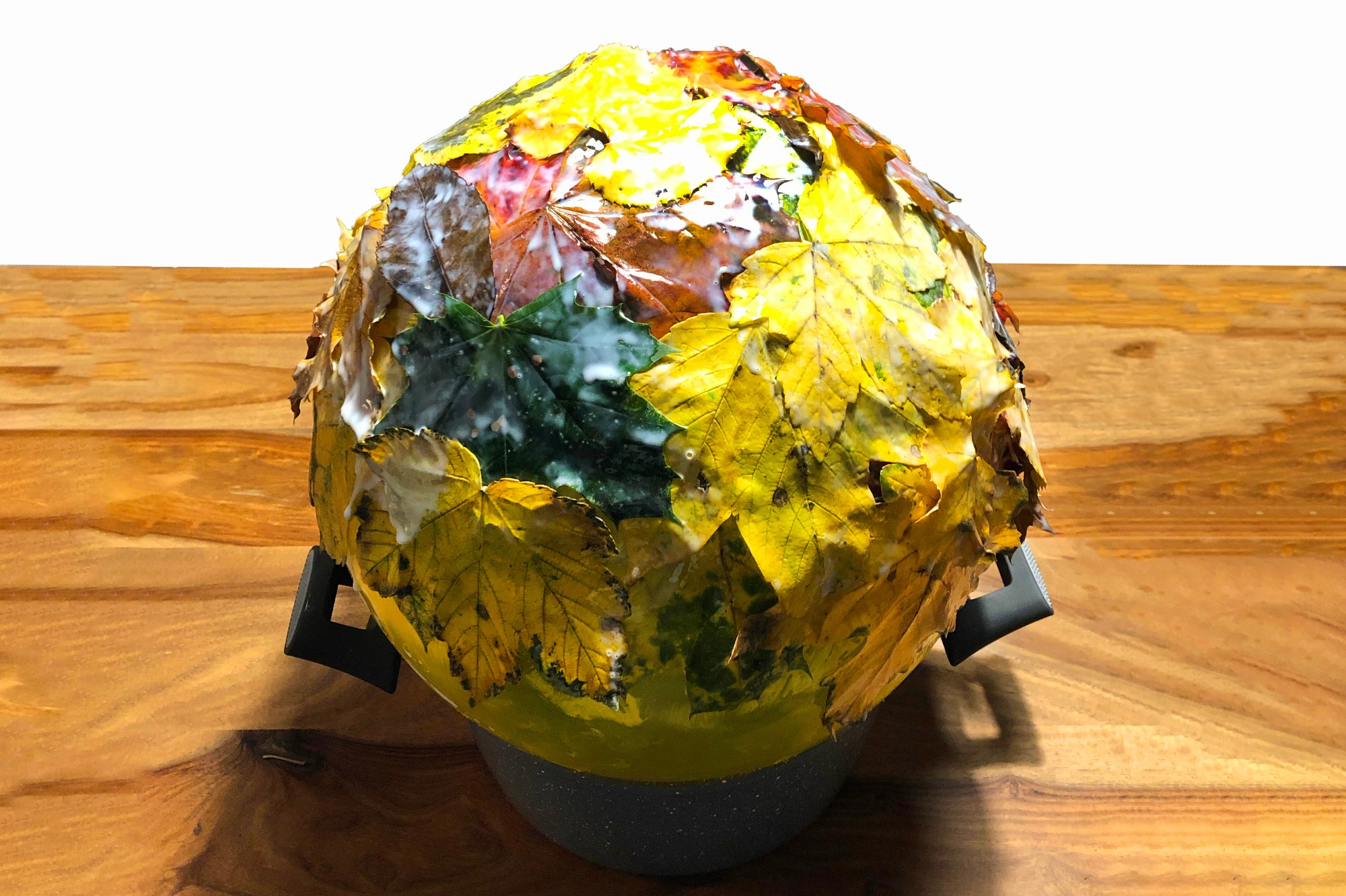 Eurobrico Blog Cestino Foglie 10