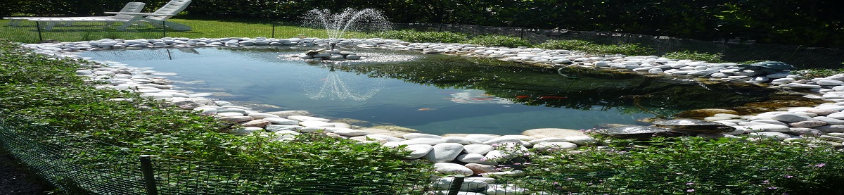 Manutenzione Laghetto Artificiale 1