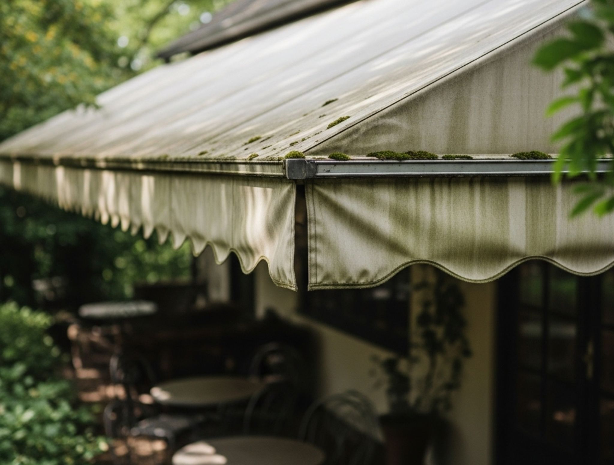 Sezione 6 Blog 13852 1