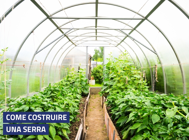 Costruire Una Serra 630X467 10415 1