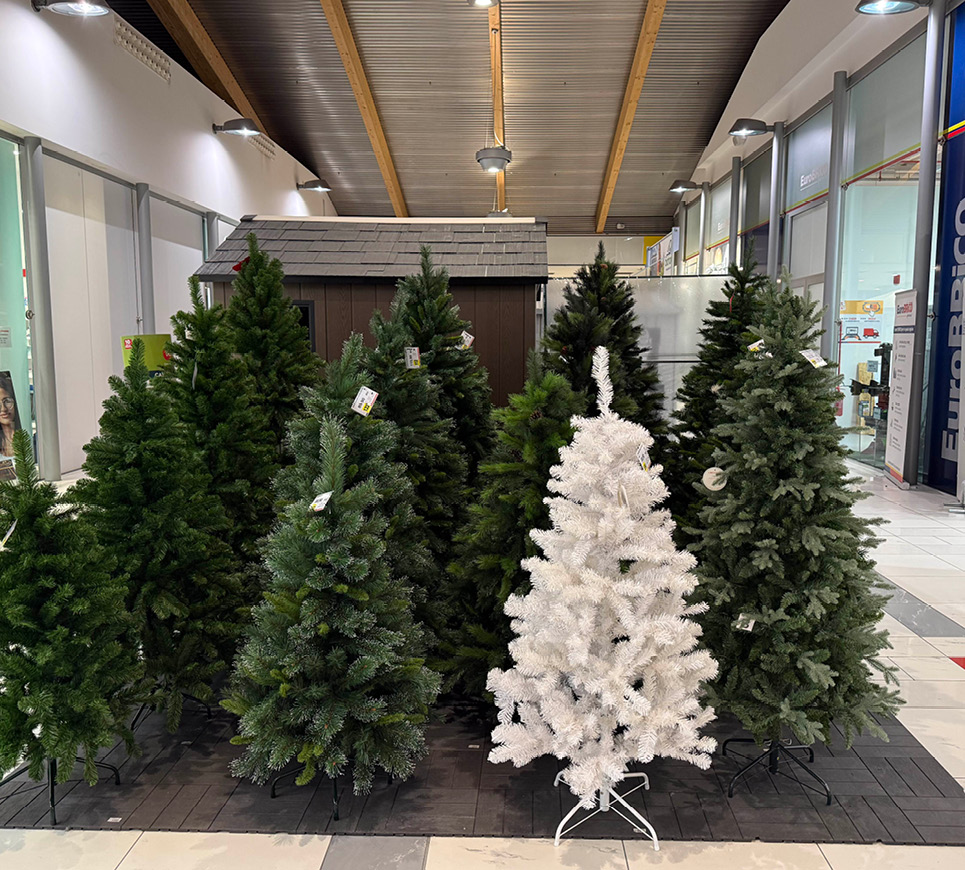 965X870px Natale Ronchi7