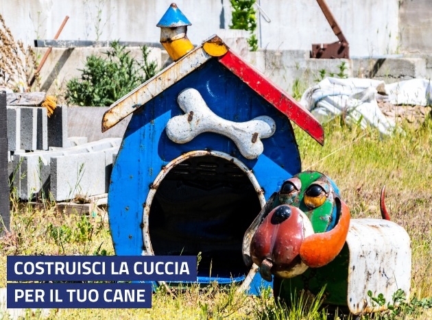 Costruisci Cuccia Al Tuo Cane 63