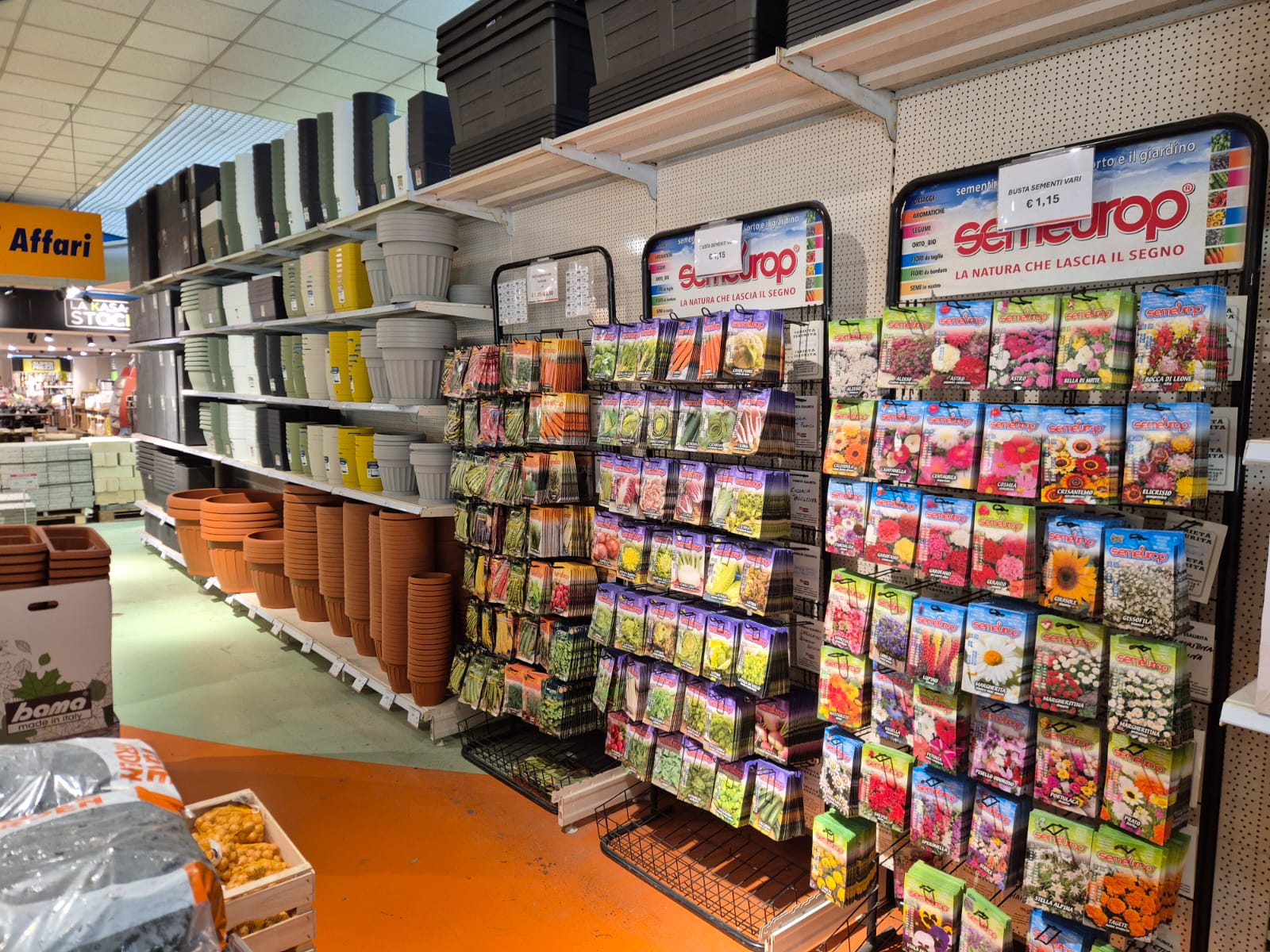 Whatsapp Image 2026 03 12 At 150600 5