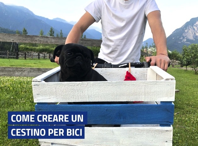 Cestino Da Bici 9