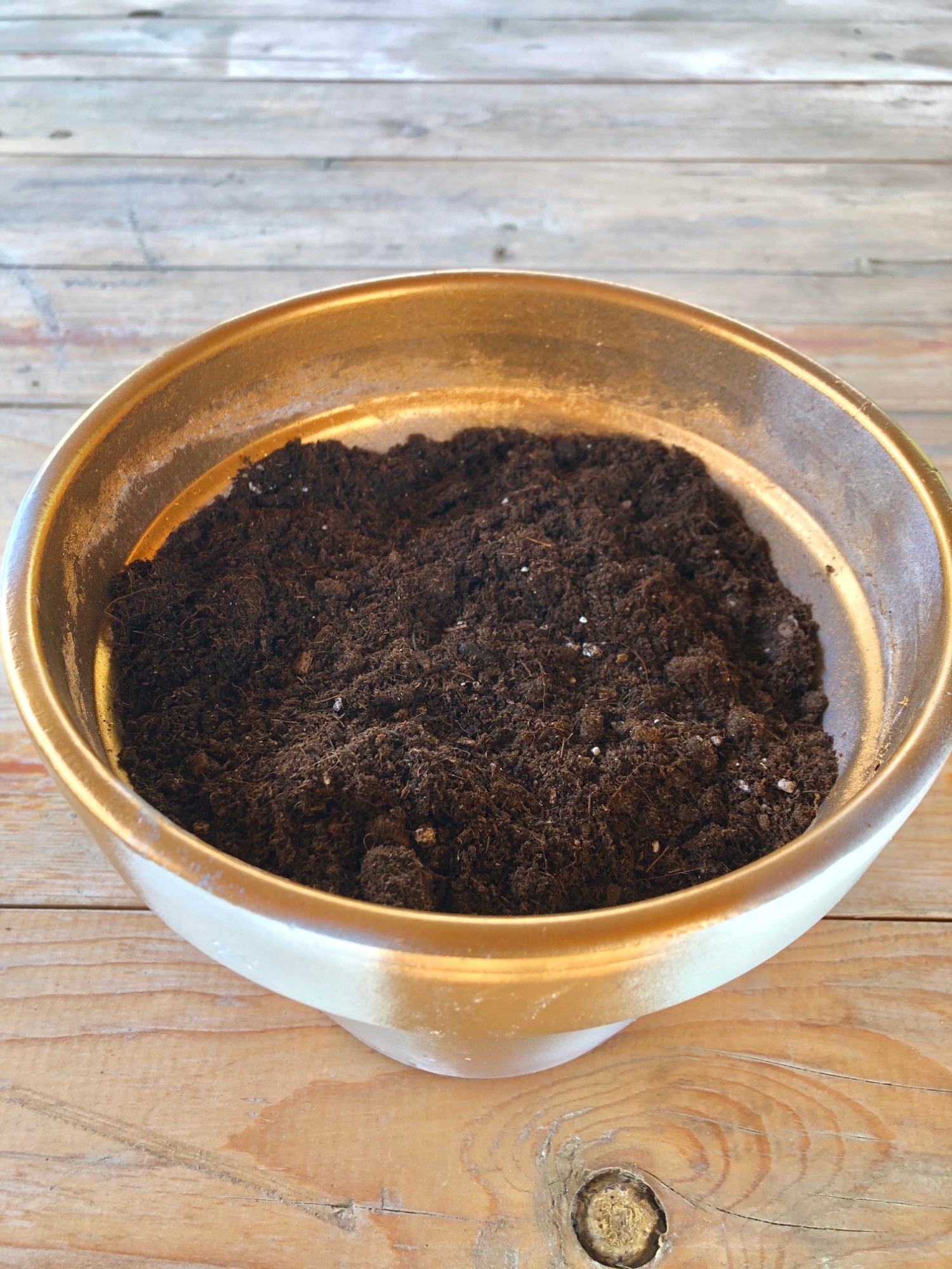 Orto Aromatico 3