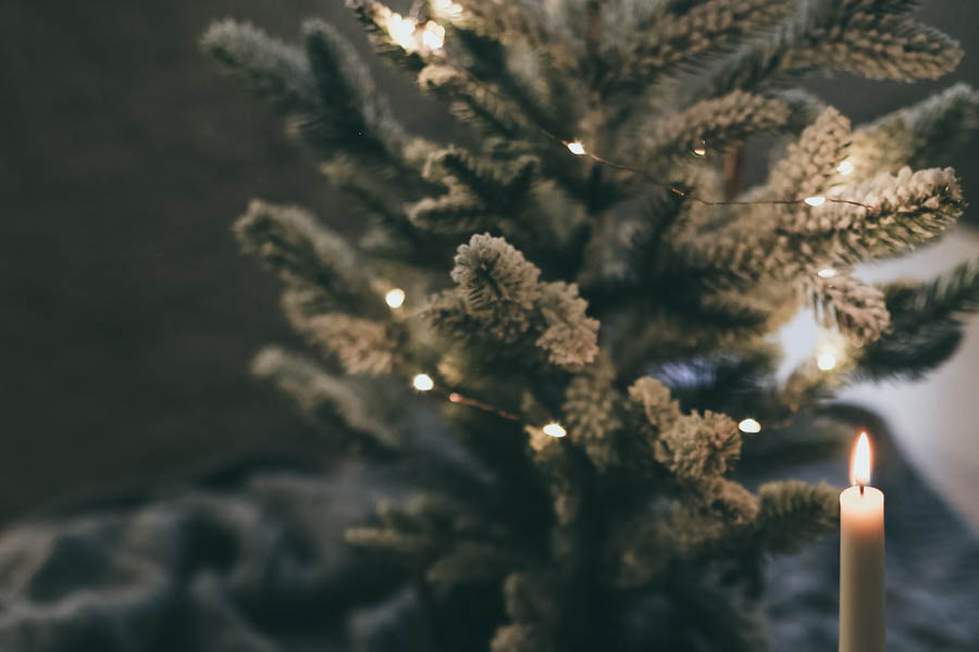 900X6004 13136 1