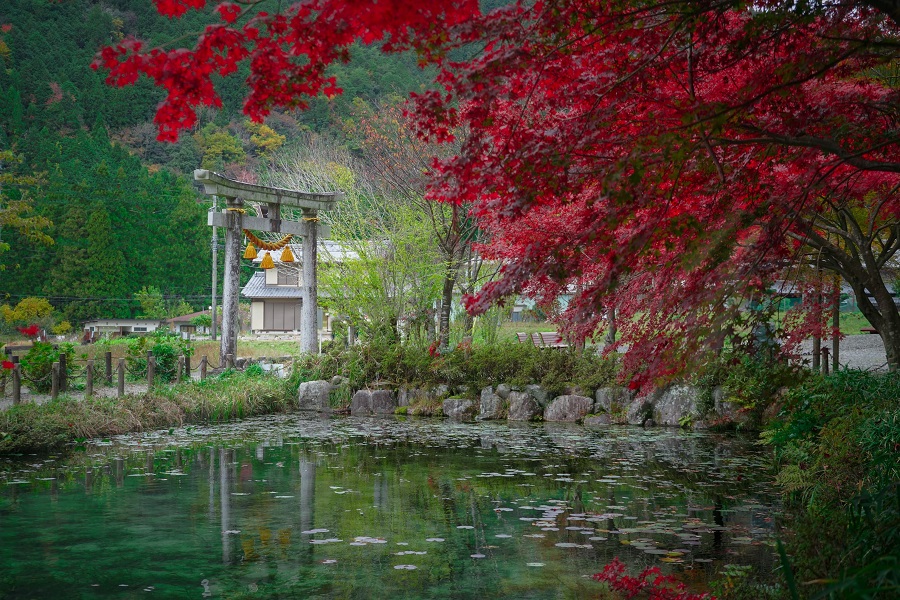 Giardino Zen 03