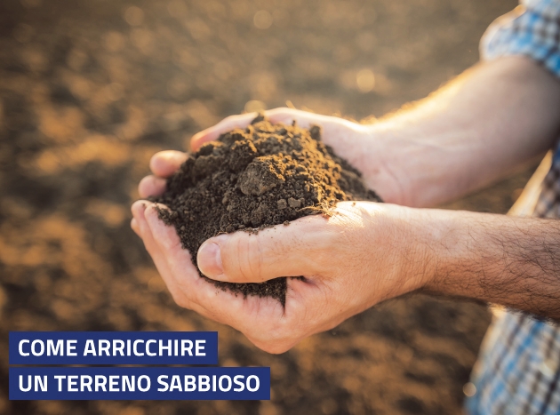 Arricchire Terrreno Banner