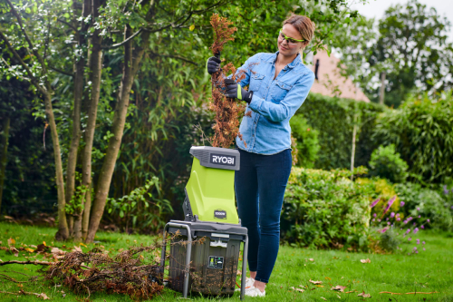 Ryobi Main