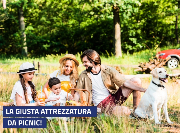 Giusta Attrezzatura Da Picnic Rid 10323 1