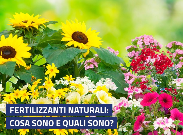 Fertilizzanti Naturali Banner