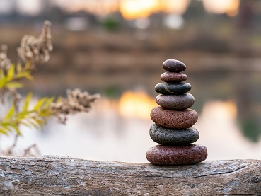 Giardino Zen 06