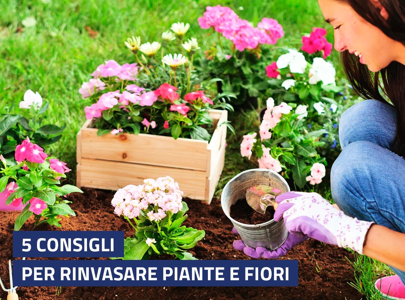 Banner 630X467px 5 Consigli Per