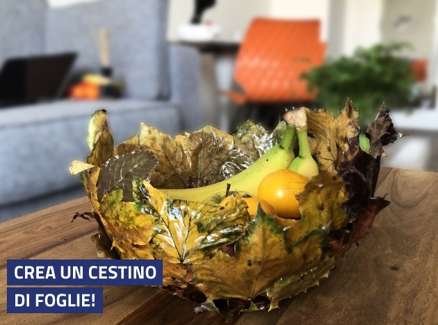 Cestino Di Foglie 630X467 10461